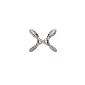 ANILLO X